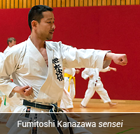 Fumitoshi Kanazawa